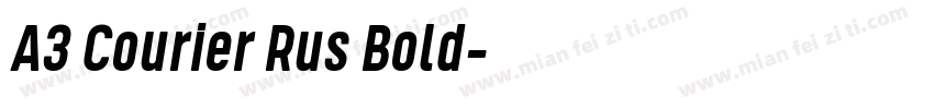 A3 Courier Rus Bold字体转换